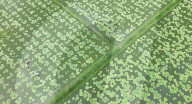 Farming