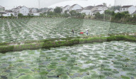 Farming