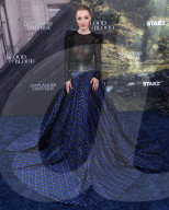 Los Angeles Premiere Of STARZ's 'Outlander: Blood Of My Blood' Season 1