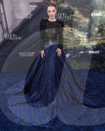 Los Angeles Premiere Of STARZ's 'Outlander: Blood Of My Blood' Season 1