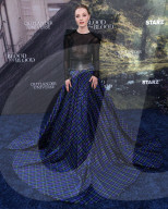 Los Angeles Premiere Of STARZ's 'Outlander: Blood Of My Blood' Season 1