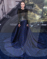 Los Angeles Premiere Of STARZ's 'Outlander: Blood Of My Blood' Season 1