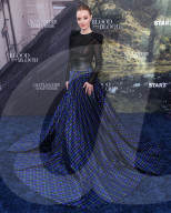 Los Angeles Premiere Of STARZ's 'Outlander: Blood Of My Blood' Season 1