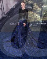 Los Angeles Premiere Of STARZ's 'Outlander: Blood Of My Blood' Season 1