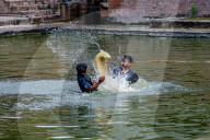 Nag Panchami  Celebrated In Bhaktapur, Nepal