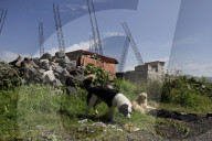 Partial Canal Overflow In La Ciénega In Tláhuac, Mexico City, Causing Serious Damage To Homes