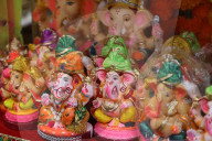 Festival Of South Asia