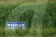 Pierre Poilievre Faces Record 200+ Rivals In Crowded Alberta By-Election