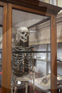 Edinburgh University's 'skull room' highlights its complicated history with racist science.