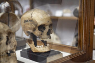 Edinburgh University's 'skull room' highlights its complicated history with racist science.