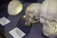 Edinburgh University's 'skull room' highlights its complicated history with racist science.