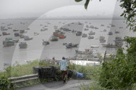 Fishing Boats Anchor In Mumbai Creeks During Monsoon
