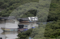 Fishing Boats Anchor In Mumbai Creeks During Monsoon
