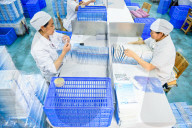 TCM Manufacturing in Xingyi