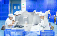 TCM Manufacturing in Xingyi