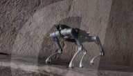 Back flipping robot dog