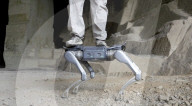 Back flipping robot dog