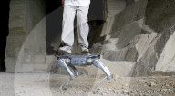 Back flipping robot dog