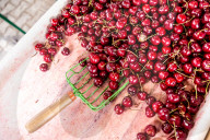 High Prices Of Season Fruit In Poland