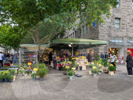 Flower Market In Essen