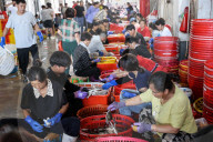 Zhoushan International Aquatic Swimming Crabs Harvest