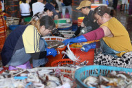 Zhoushan International Aquatic Swimming Crabs Harvest
