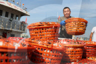 Zhoushan International Aquatic Swimming Crabs Harvest