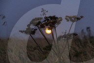 Sturgeon Full Moon Rises Over Normandy