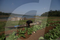 Farming In Dried-up Reservoirs In Sumedang, Indonesia