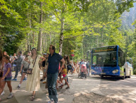 Public Bus Transport To Neuschwanstein Castle