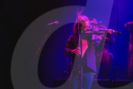 Outside Lands in San Francisco 