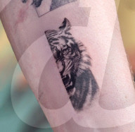 World first robot tattoo machine