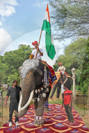 Elephant Fashion Show On Mark Of World Elephant Day In Jaipur 