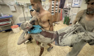 Israel-Hamas War 2025: Gaza Under Siege