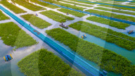 Ecological Crab Breeding Base in Suqian