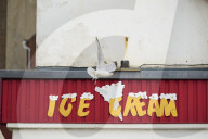 Scarborough struggles with ‘gull muggings’ as urban seabird population rises