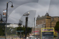 Scarborough struggles with ‘gull muggings’ as urban seabird population rises