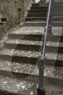 Scarborough struggles with ‘gull muggings’ as urban seabird population rises