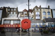 Scarborough struggles with ‘gull muggings’ as urban seabird population rises