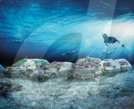 Concrete cars to bring back coral to Miami