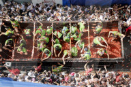 Tomatina 2025