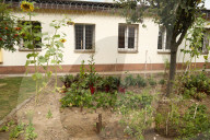 Vegetable Gardens At Nowa Huta Prison In Krakow