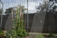 Vegetable Gardens At Nowa Huta Prison In Krakow