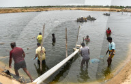 US Tariff Blow To Indian Shrimp Market 