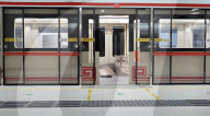 Metro station and train for cats