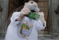 Pilgrims In Mexico Bid Farewell To The Relic Of Saint Jude Thaddeus