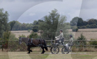 Lady Louise bei den britischen Meisterschaft im Gespannfahren in Ashfields