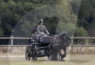 Lady Louise bei den britischen Meisterschaft im Gespannfahren in Ashfields