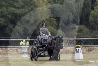 Lady Louise bei den britischen Meisterschaft im Gespannfahren in Ashfields