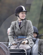 Lady Louise bei den britischen Meisterschaft im Gespannfahren in Ashfields